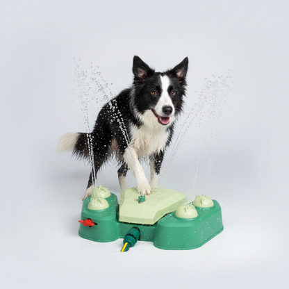 Gridn Outdoor Dog Water Play and Hydration Station - Interactive Pedal Activated Pet Sprinkler
